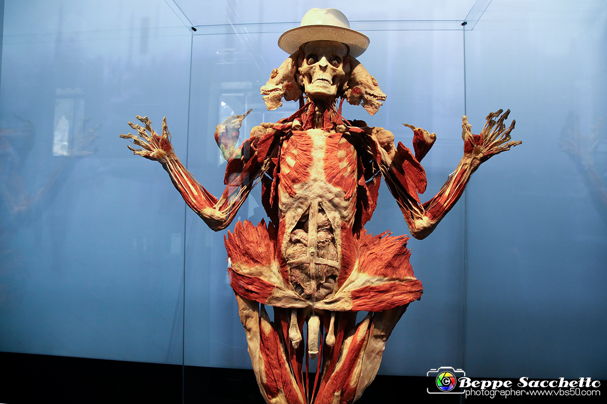 VBS_2905 - Mostra Body Worlds.jpg